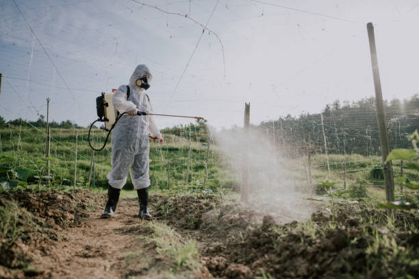 Best Pest Prevention Services  in Waldpt, OR
