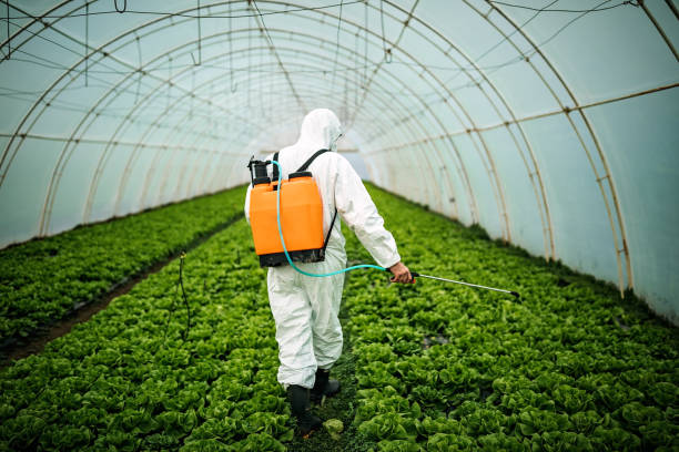 Best Local Pest Control Services  in Waldpt, OR