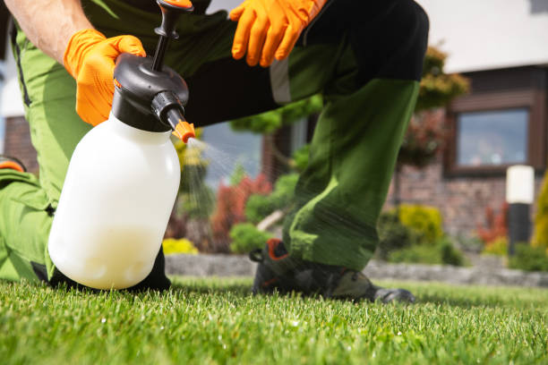 Best Bed Bug Extermination  in Waldpt, OR