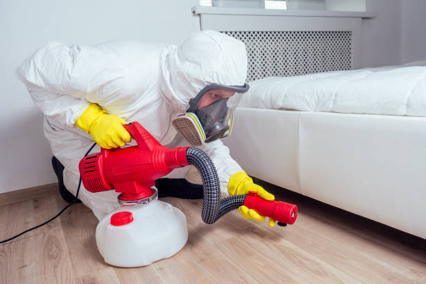Wasp Removal Services in Waldport, OR