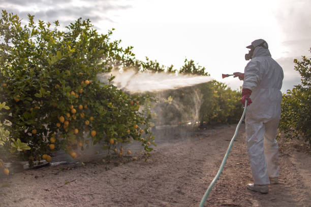 Best Pest Control for Homes  in Waldpt, OR