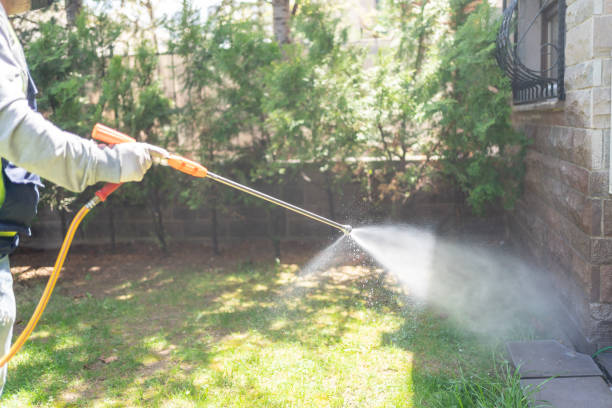 Best Flea Control Services  in Waldpt, OR
