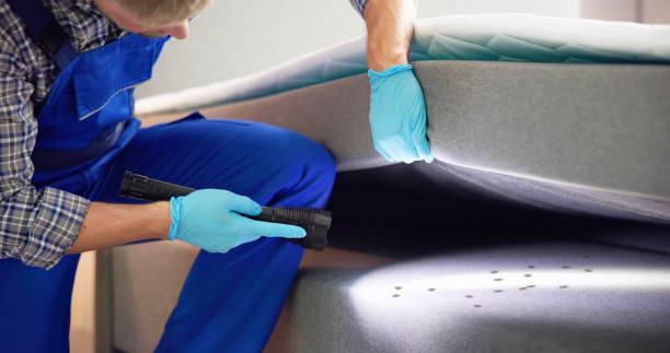 Pest Control for Restaurants in Waldport, OR