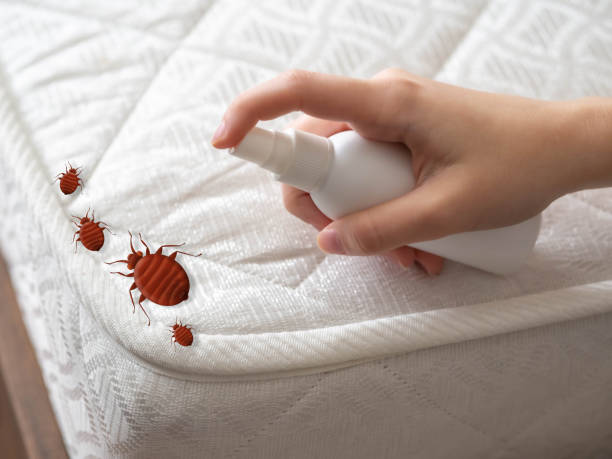 Best Affordable Pest Control Services  in Waldpt, OR