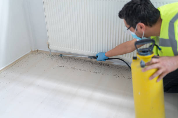 Best Termite Control Services  in Waldpt, OR