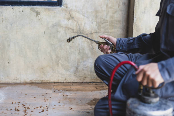 Best Affordable Pest Control Services  in Waldpt, OR